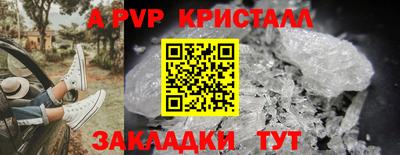 прущие грибы Краснодар