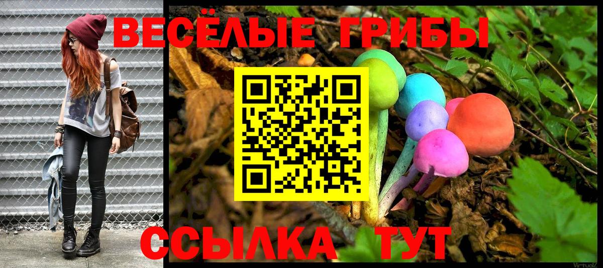 Псилоцибиновые грибы GOLDEN TEACHER Тимашёвск